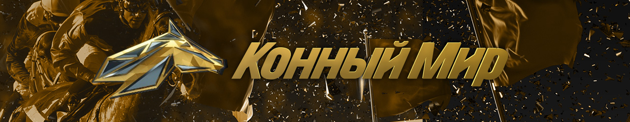 усадьба канал программа на сегодня спб. усадьба канал программа на сегодня спб. програпммателепередач. кулинарные программы на телевидении список. усадьба канал программа на сегодня спб.